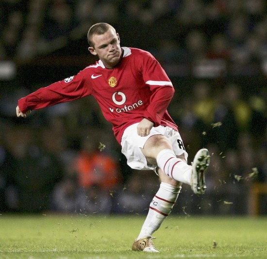 仅体现了对 仅体现了对